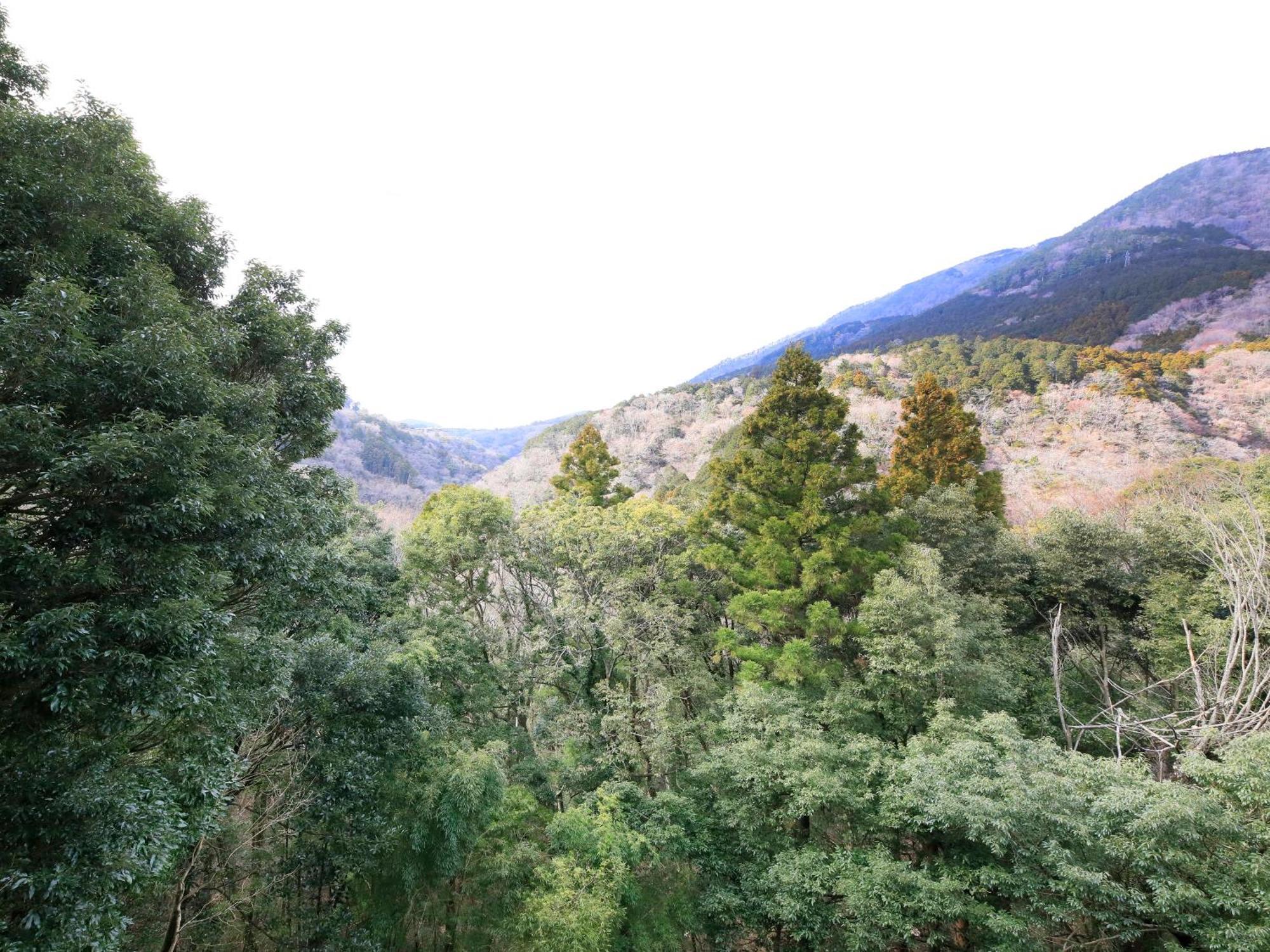 Hot Spring Inn Hakone Suisen المظهر الخارجي الصورة