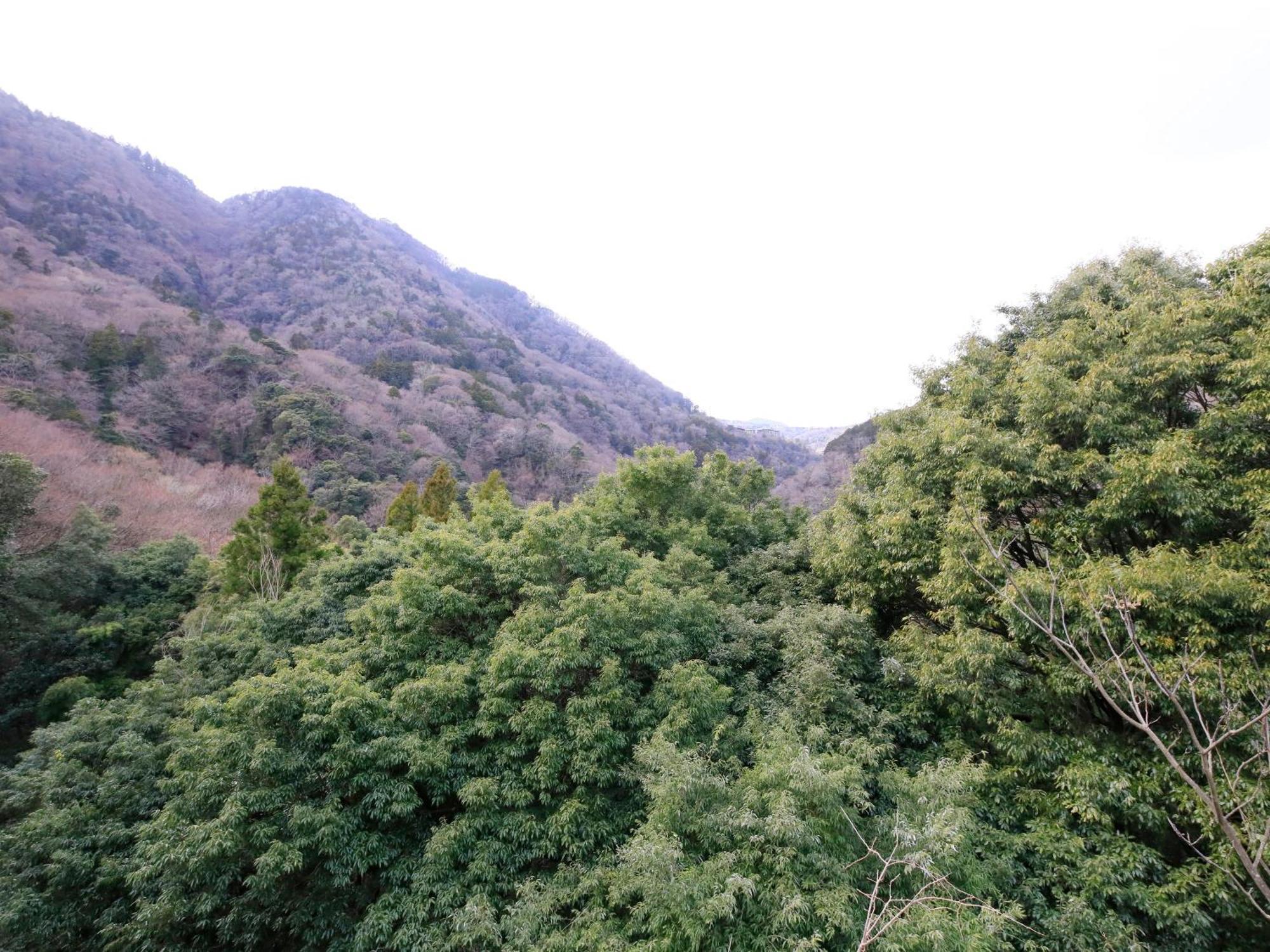 Hot Spring Inn Hakone Suisen المظهر الخارجي الصورة